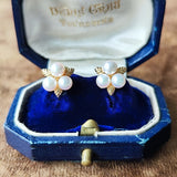 MIKIMOTO ミキモト あこや真珠 ヴィンテージイヤリング