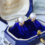 MIKIMOTO ミキモト あこや真珠 ヴィンテージイヤリング