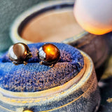 【魅惑の黒い宝石】天然ブラックスターサファイア 18金ピアス