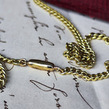 【お値下げ】イギリス アンティーク ペーストのネックレス