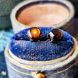 【魅惑の黒い宝石】天然ブラックスターサファイア 18金ピアス