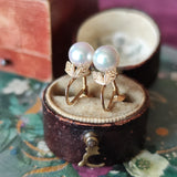 MIKIMOTO ミキモト あこや真珠 ヴィンテージイヤリング 14金