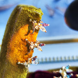 【お値下げ】イヤーカフ 天然アレキサンドライト 天然ロイヤルブルームーンストーン 天然ローズカットダイヤモンド 新品