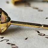 MIKIMOTO ミキモト あこや真珠 ベビーパール ピアス