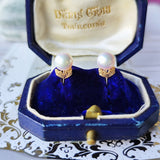 MIKIMOTO ミキモト あこや真珠 ヴィンテージイヤリング