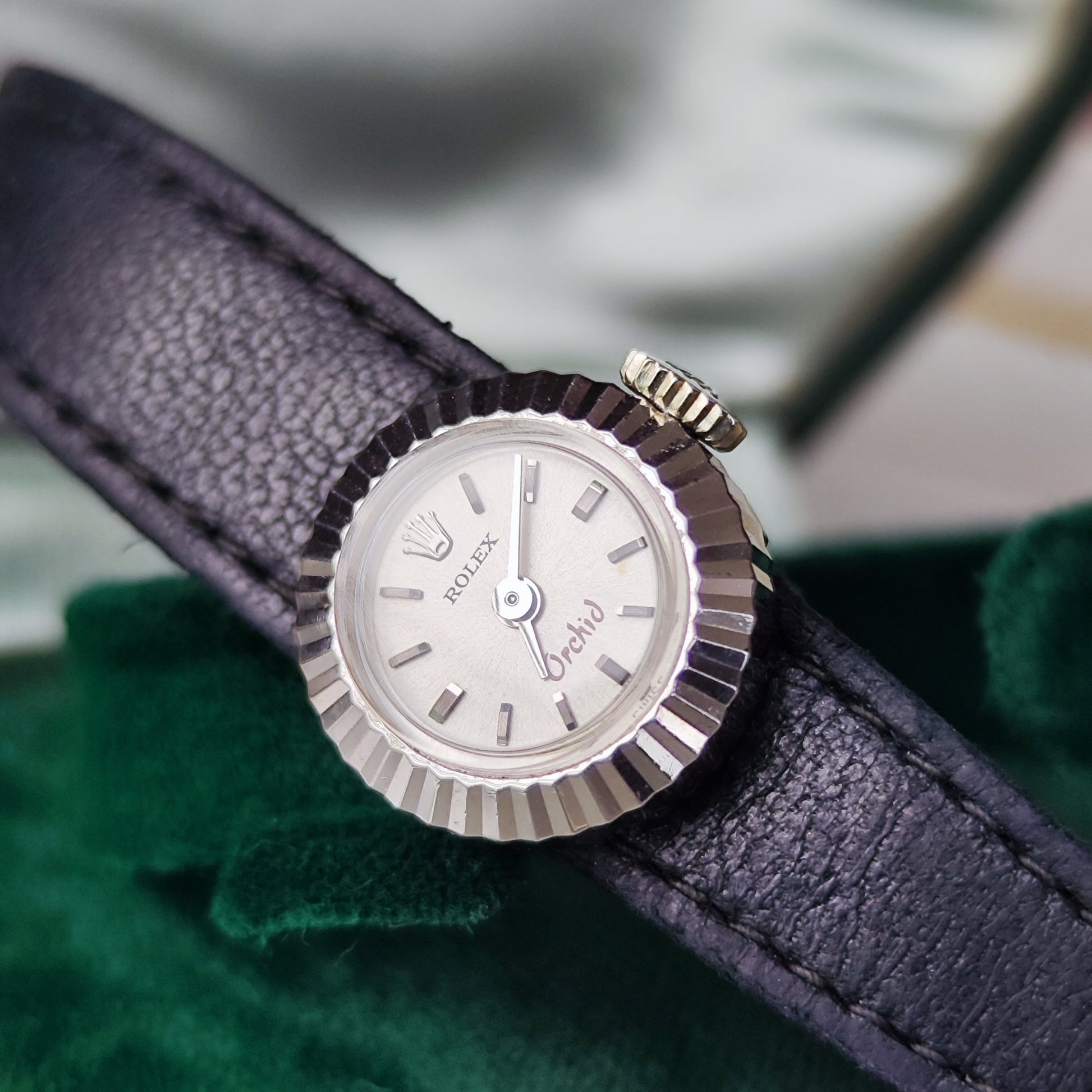 【OH済み】ROLEX ロレックス CHAMELEON カメレオン Orchid 18金無垢 手巻き腕時計