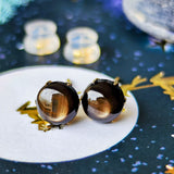 【魅惑の黒い宝石】天然ブラックスターサファイア 18金ピアス