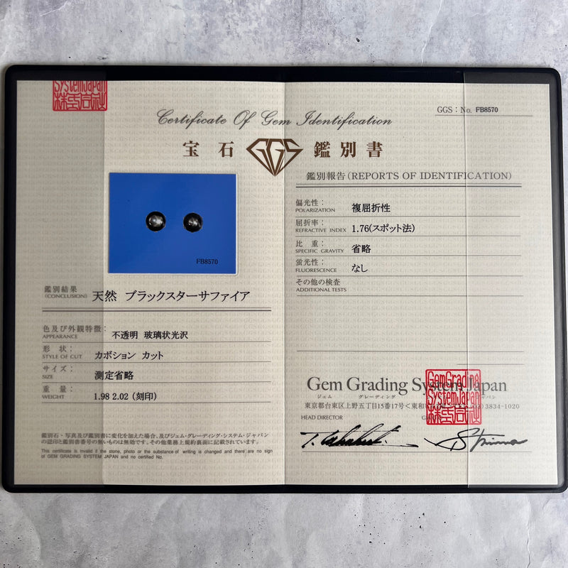 【魅惑の黒い宝石】天然ブラックスターサファイア 18金ピアス