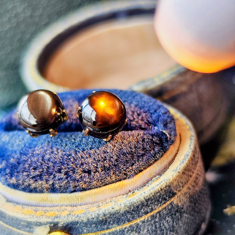【魅惑の黒い宝石】天然ブラックスターサファイア 18金ピアス