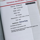 【非加熱 ピジョンブラッド】天然ルビー 天然ダイヤモンド リング