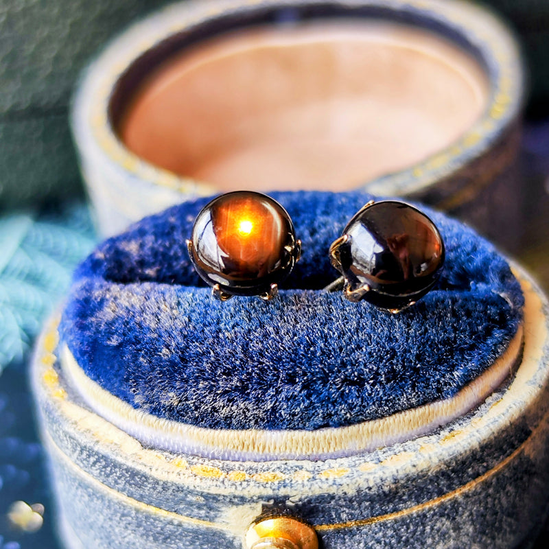 【魅惑の黒い宝石】天然ブラックスターサファイア 18金ピアス