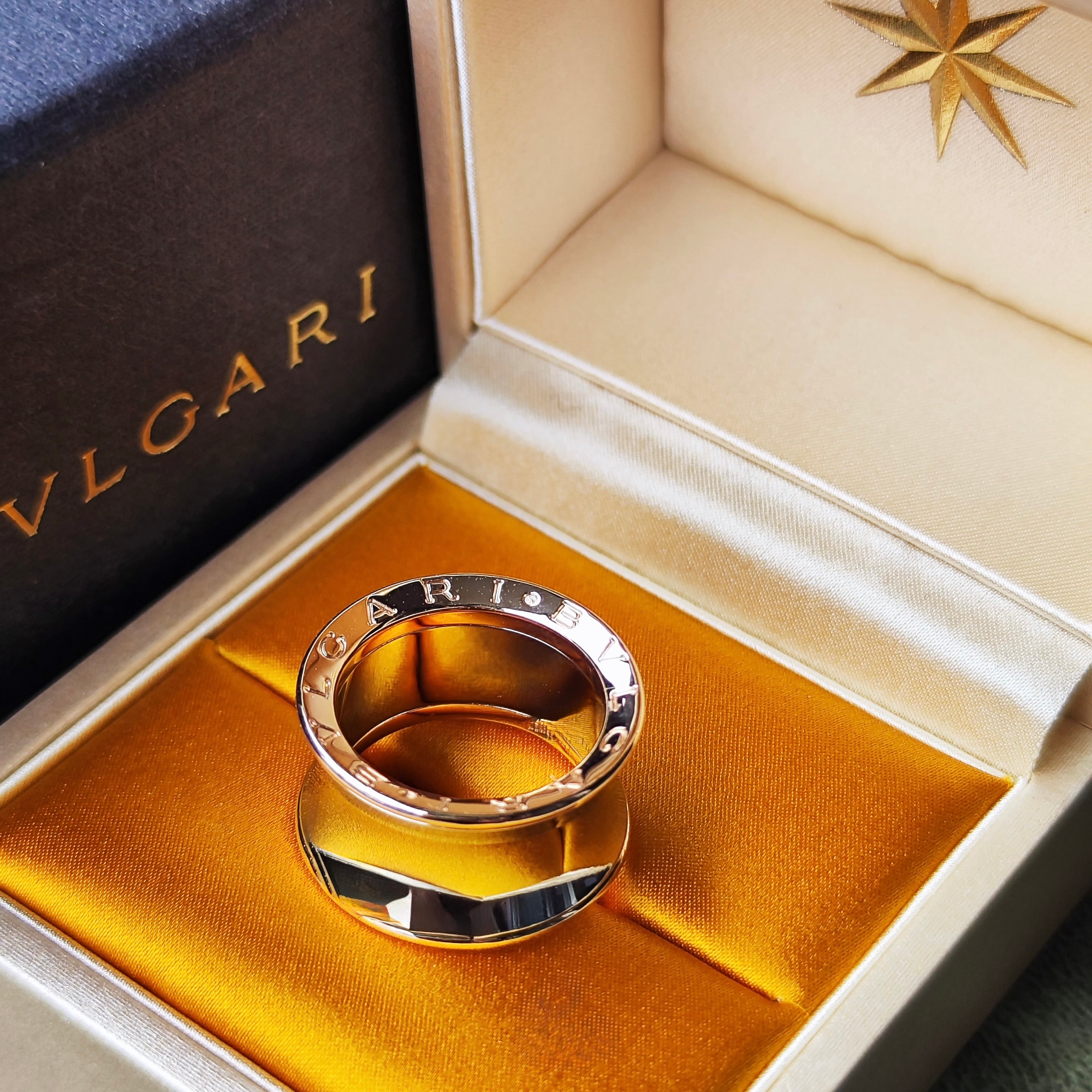 BVLGARI ブルガリ B-ZERO1 ビーゼロワン Anish Kapoor（アニッシュ