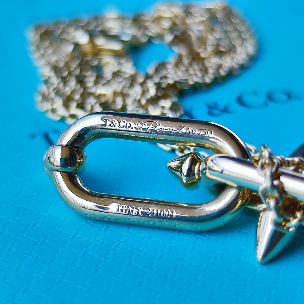 TIFFANY &Co ティファニー タイタン by ファレル・ウィリアムス ネックレス