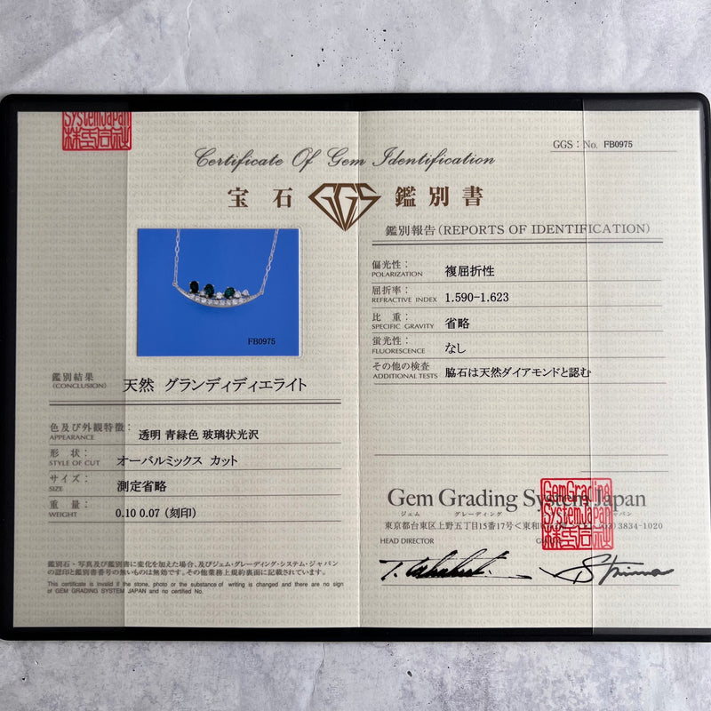 【初期の頃のルース】天然グランディディエライト 天然ダイヤモンド ネックレス