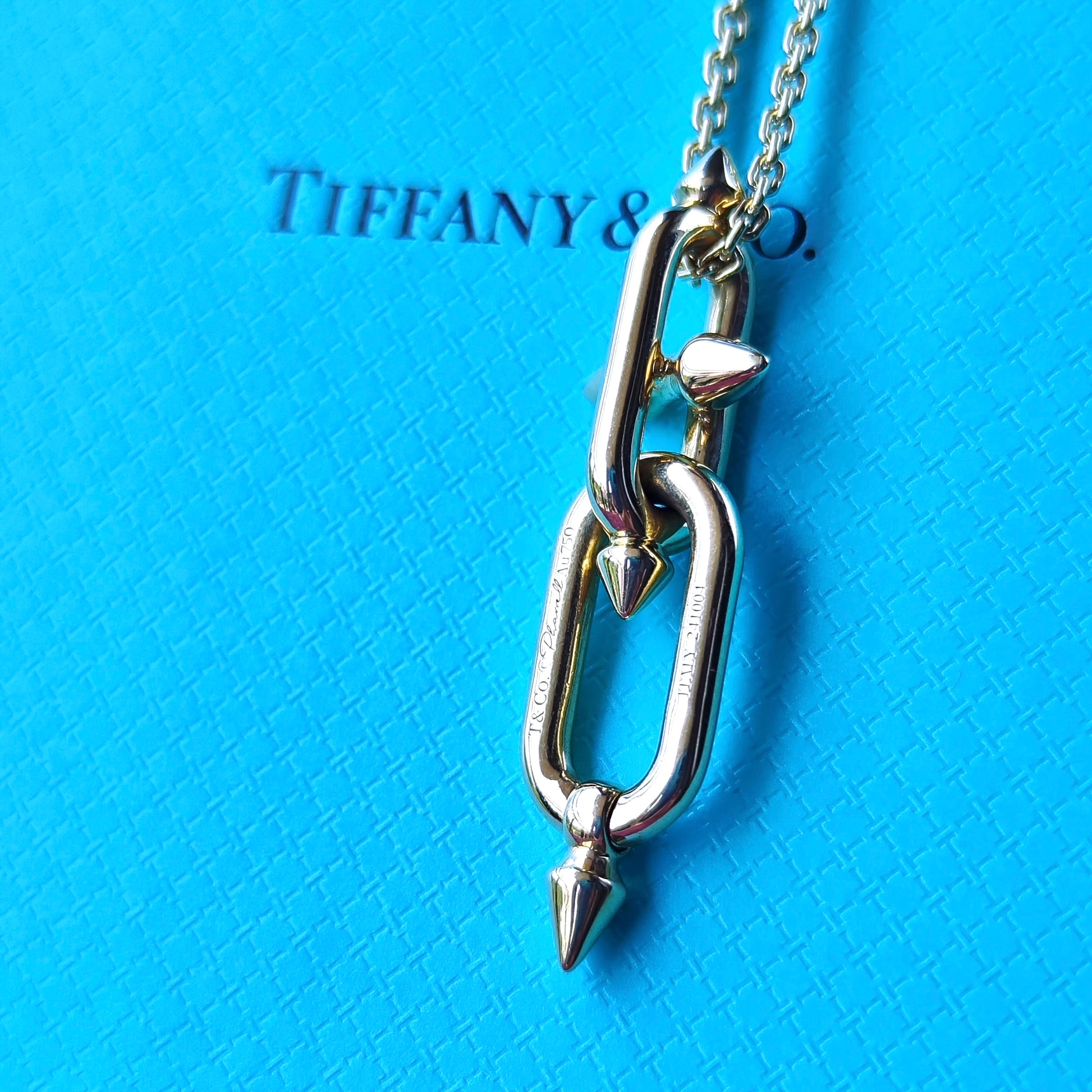TIFFANY &Co ティファニー タイタン by ファレル・ウィリアムス ネックレス