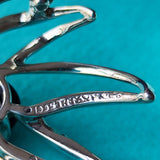 TIFFANY  ティファニー ファイヤーワークス オニキス シルバーブローチ