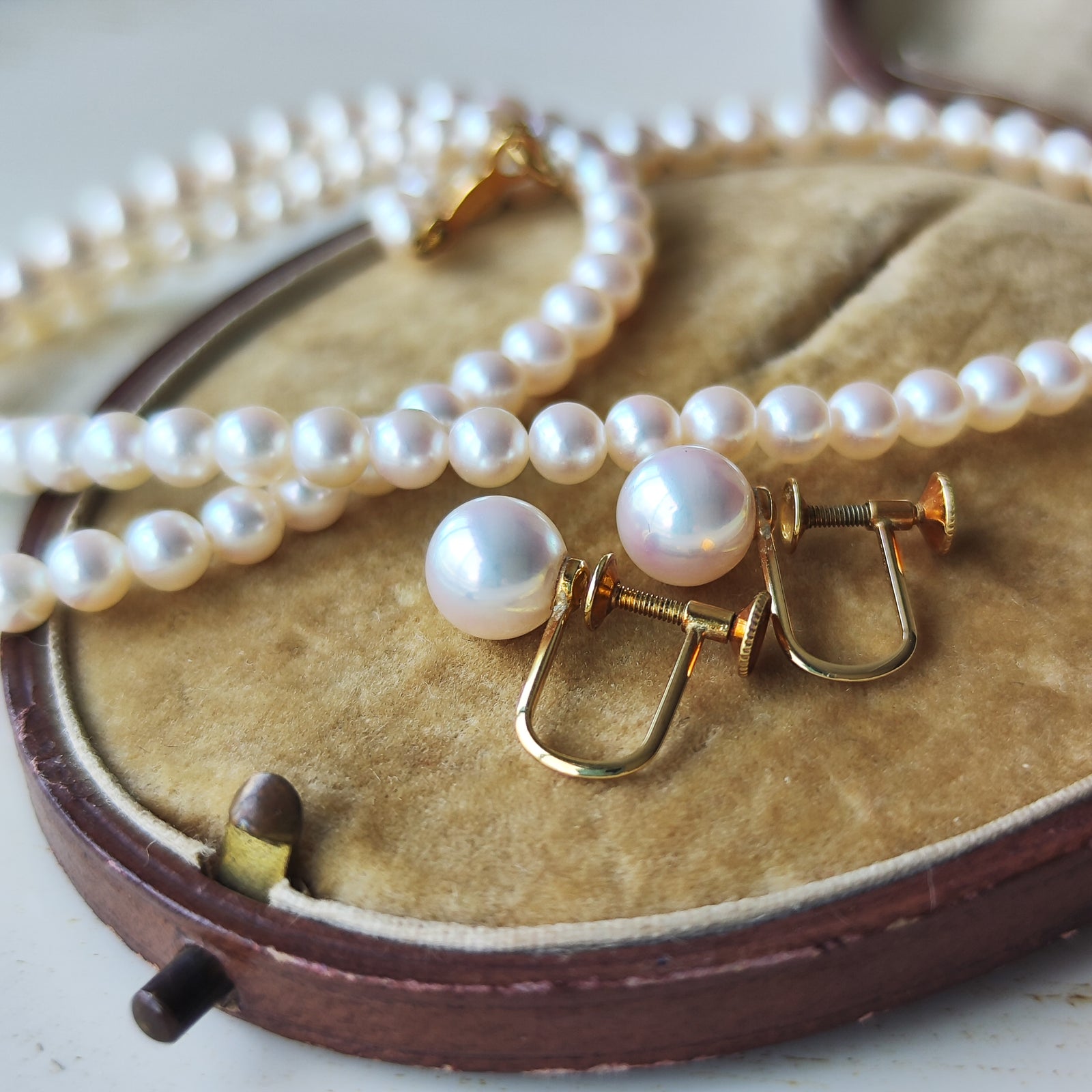 MIKIMOTO ミキモト あこや真珠 ネックレスとイヤリングのセット