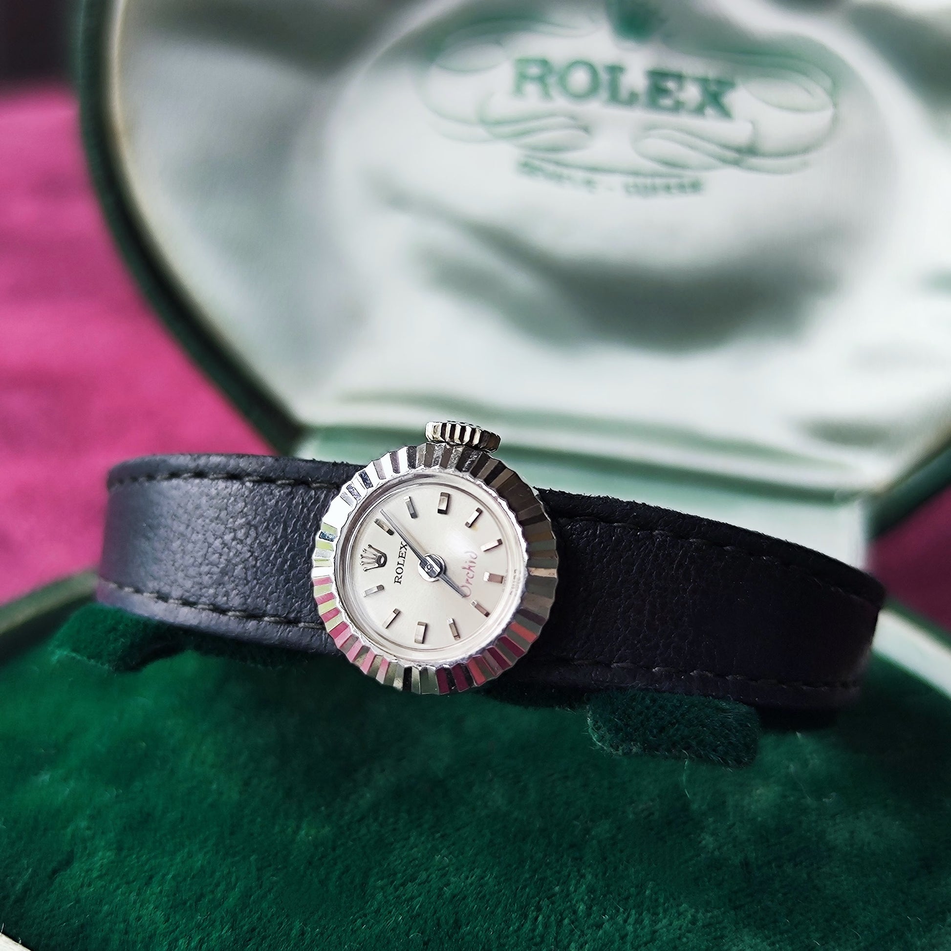 【OH済み】ROLEX ロレックス CHAMELEON カメレオン Orchid 18金無垢 手巻き腕時計