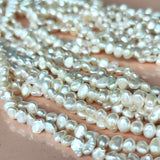 TASAKI 田崎真珠 淡水真珠 5連ネックレス