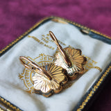 【幻の宝石】フランス アンティーク ペルピニャンガーネット ドルムーズピアス