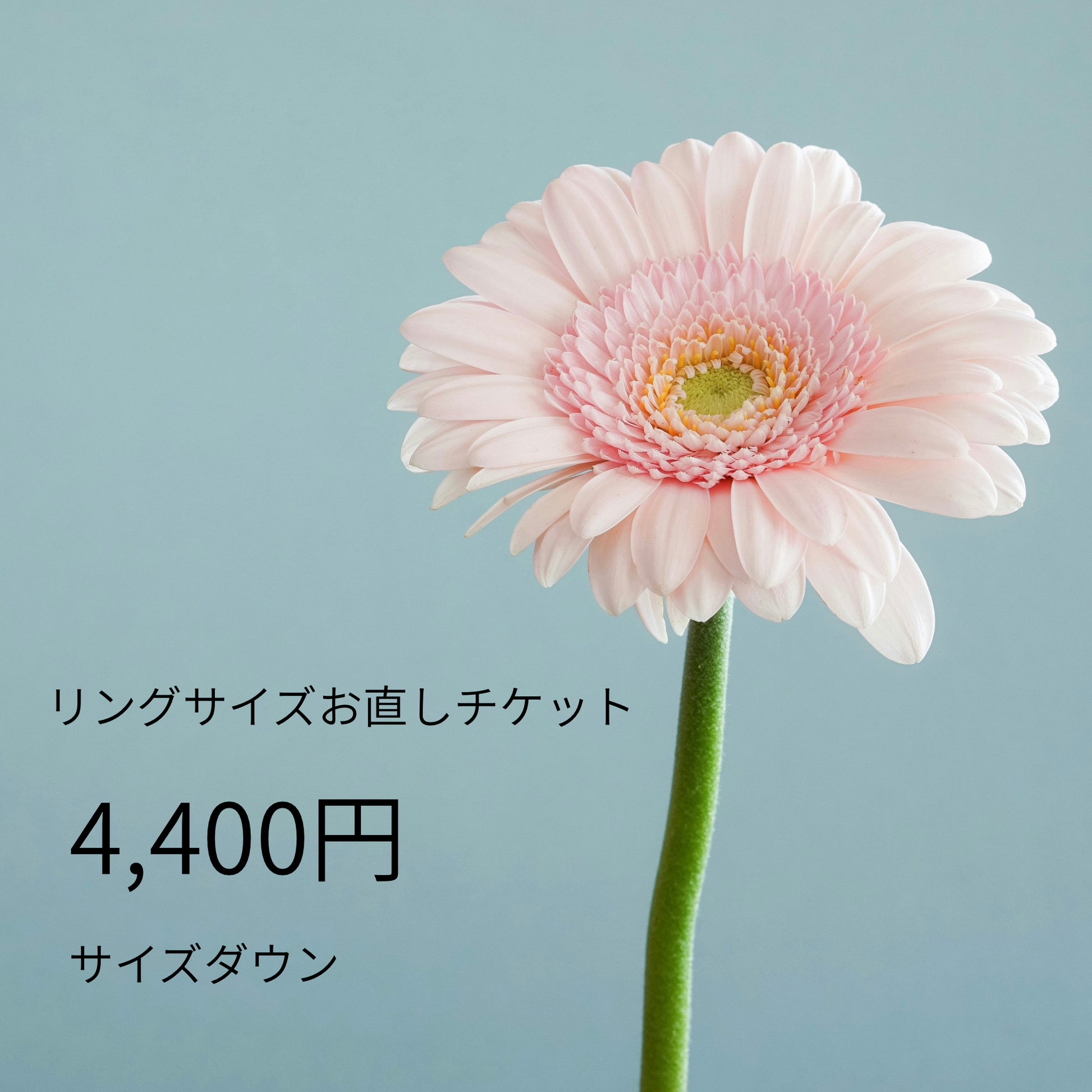 お直しチケット【サイズダウン】