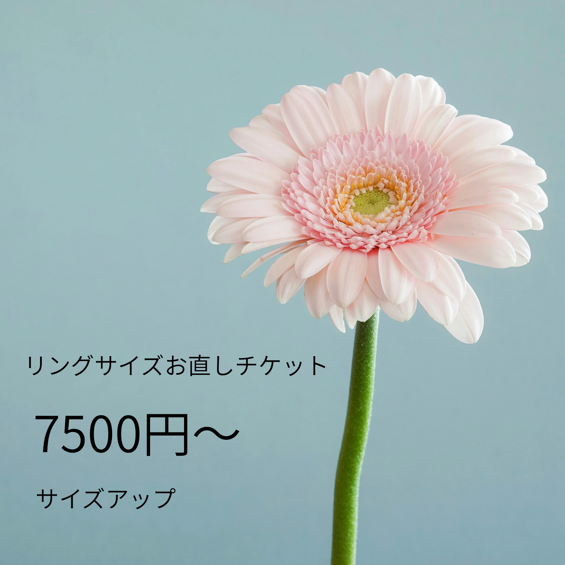 お直しチケット【サイズアップ】